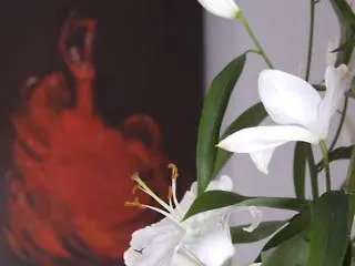 Hotel Palacio Blanco فيليز-مالاغا